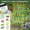 Garden Trellis for Climbing Vines, Outdoor Tomato & Cumber Trellis with A-Frame Support