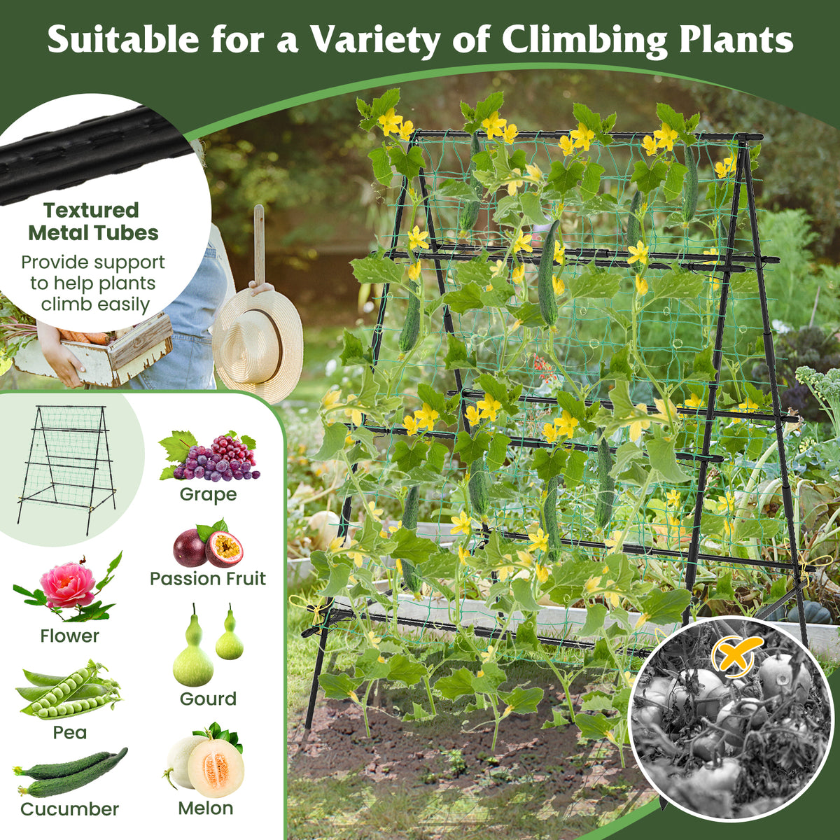 Garden Trellis for Climbing Vines, Outdoor Tomato & Cumber Trellis with A-Frame Support