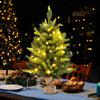 2FT Pre-Lit Artificial Mini Christmas Tree, Small Tabletop Xmas Fir Tree with 234 Branch Tips
