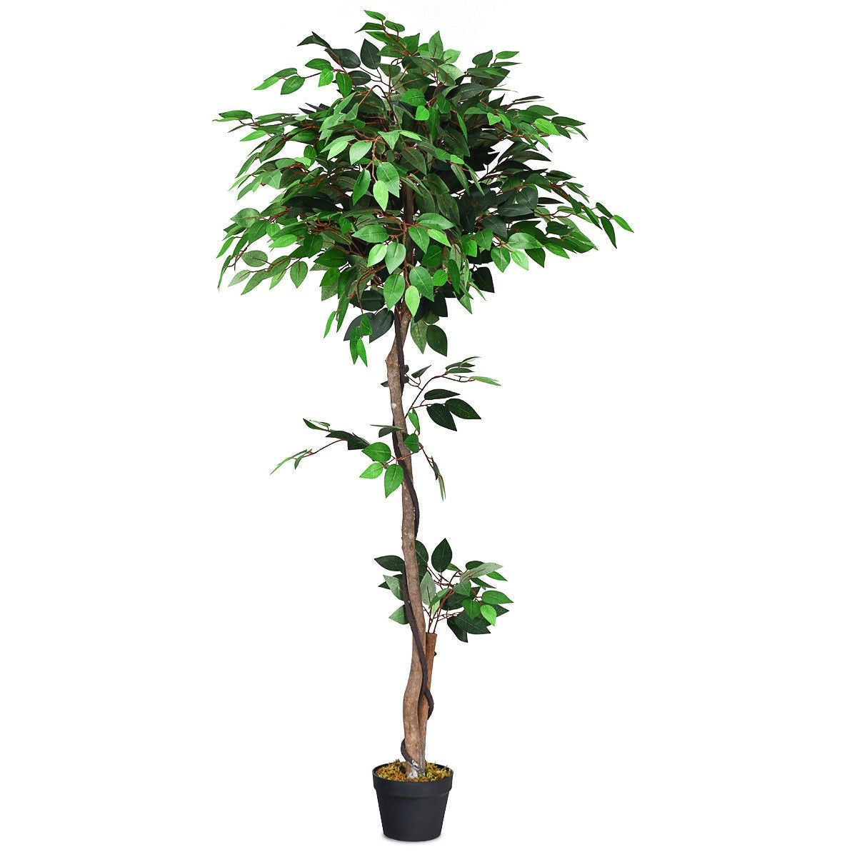 4/5.5/6FT FICUS Silk Leaf Artificial Tree - LucktreeUS