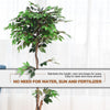 4/5.5/6FT FICUS Silk Leaf Artificial Tree - LucktreeUS
