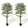 Lucktree Artificial Ficus Tree