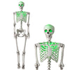 Lucktree 63" Life-Size Posable Skeleton with Green LED Lights Halloween Lighted Skeleton Decoration
