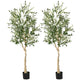Lucktree 6ft Artificial Olive Tree, Tall Fake Potted Olive Silk Tree with Planter