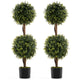 Lucktree 3 FT Artificial Boxwood Topiary Trees Set of 2 Faux Outdoor Topiary Ball Tree with Cement-Filled Pot