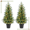 2 Pack 4 FT Pre-lit Cypress Christmas Trees w/70 Warm White LED Lights