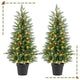 2 Pack 4 FT Pre-lit Cypress Christmas Trees w/70 Warm White LED Lights