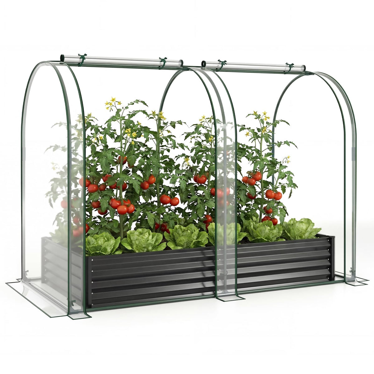Lucktree 6x3x1 FT Galvanized Raised Garden Bed with Greenhouse Cover