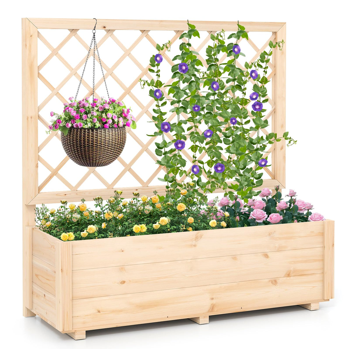 Lucktree Raised Garden Bed with Trellis (1/2)