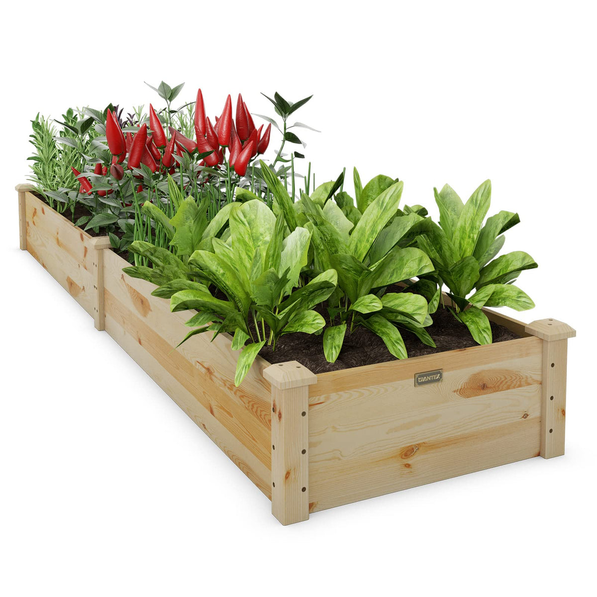 Lucktree Wooden Raised Garden Bed
