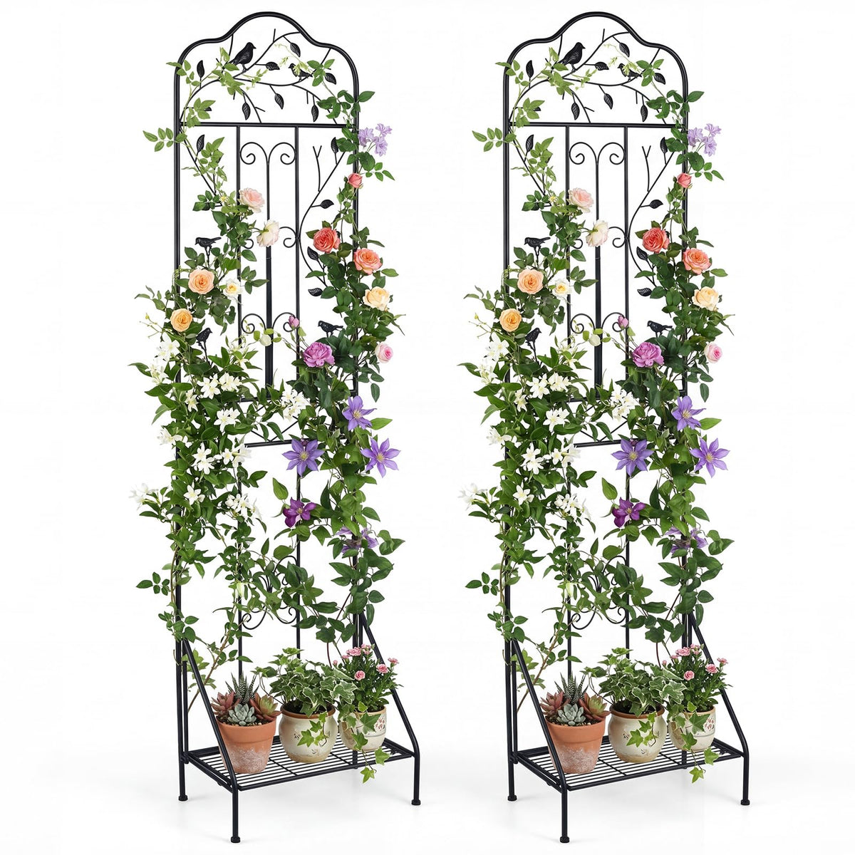 Lucktree Metal Garden Trellis for Climbing Plants