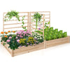 Lucktree Raised Garden Bed with Trellis