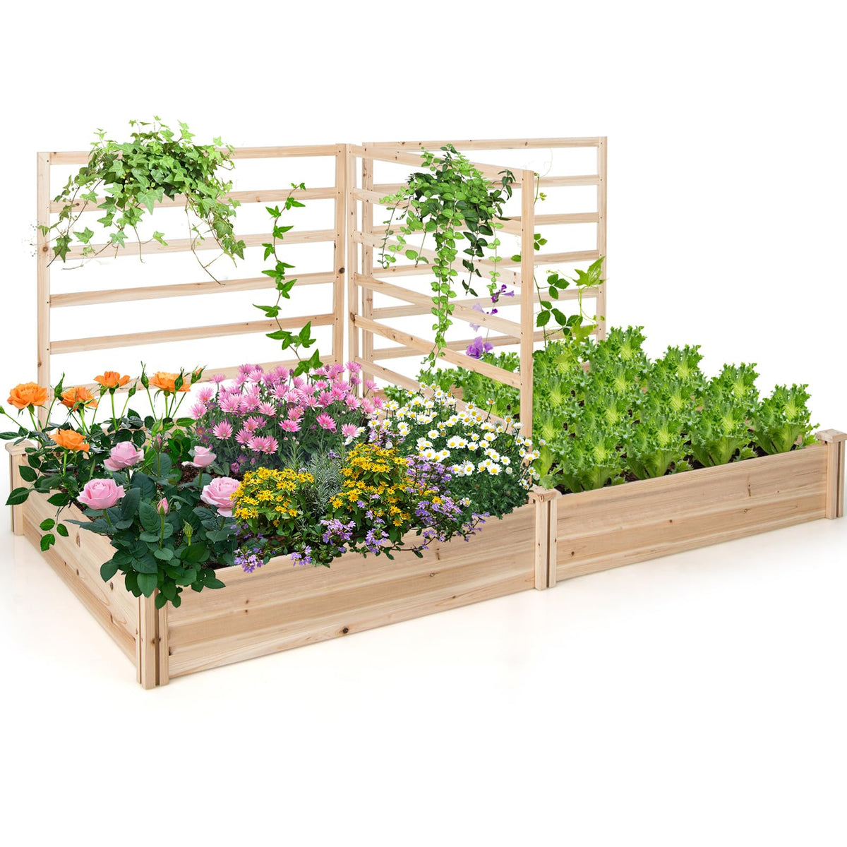 Lucktree Raised Garden Bed with Trellis