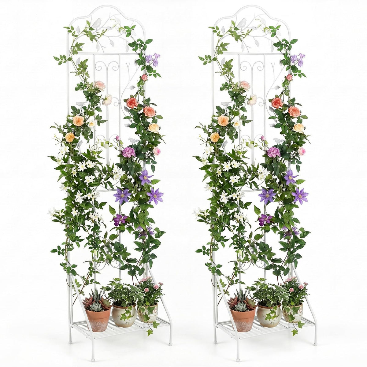 Lucktree Metal Garden Trellis for Climbing Plants