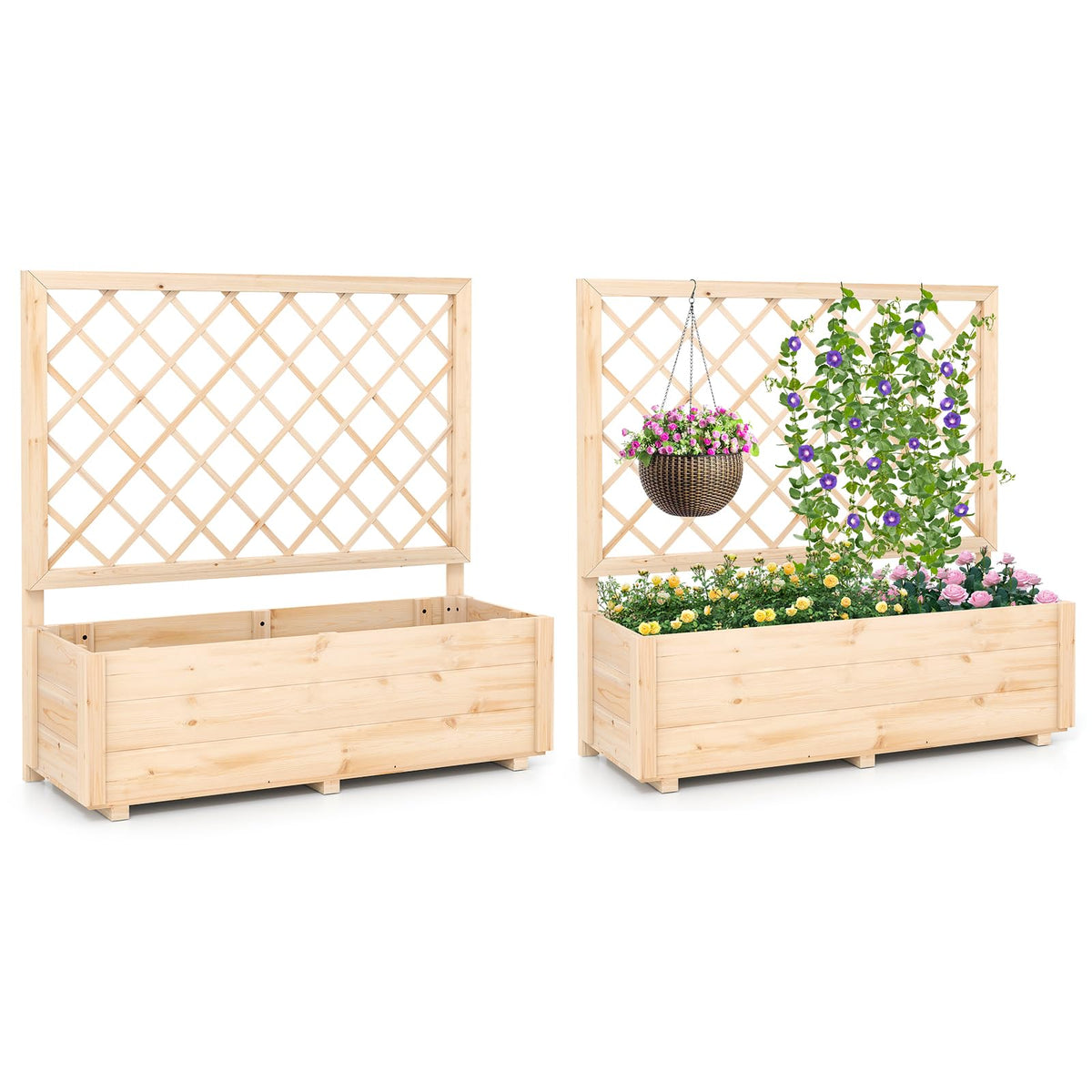 Lucktree Raised Garden Bed with Trellis (1/2)