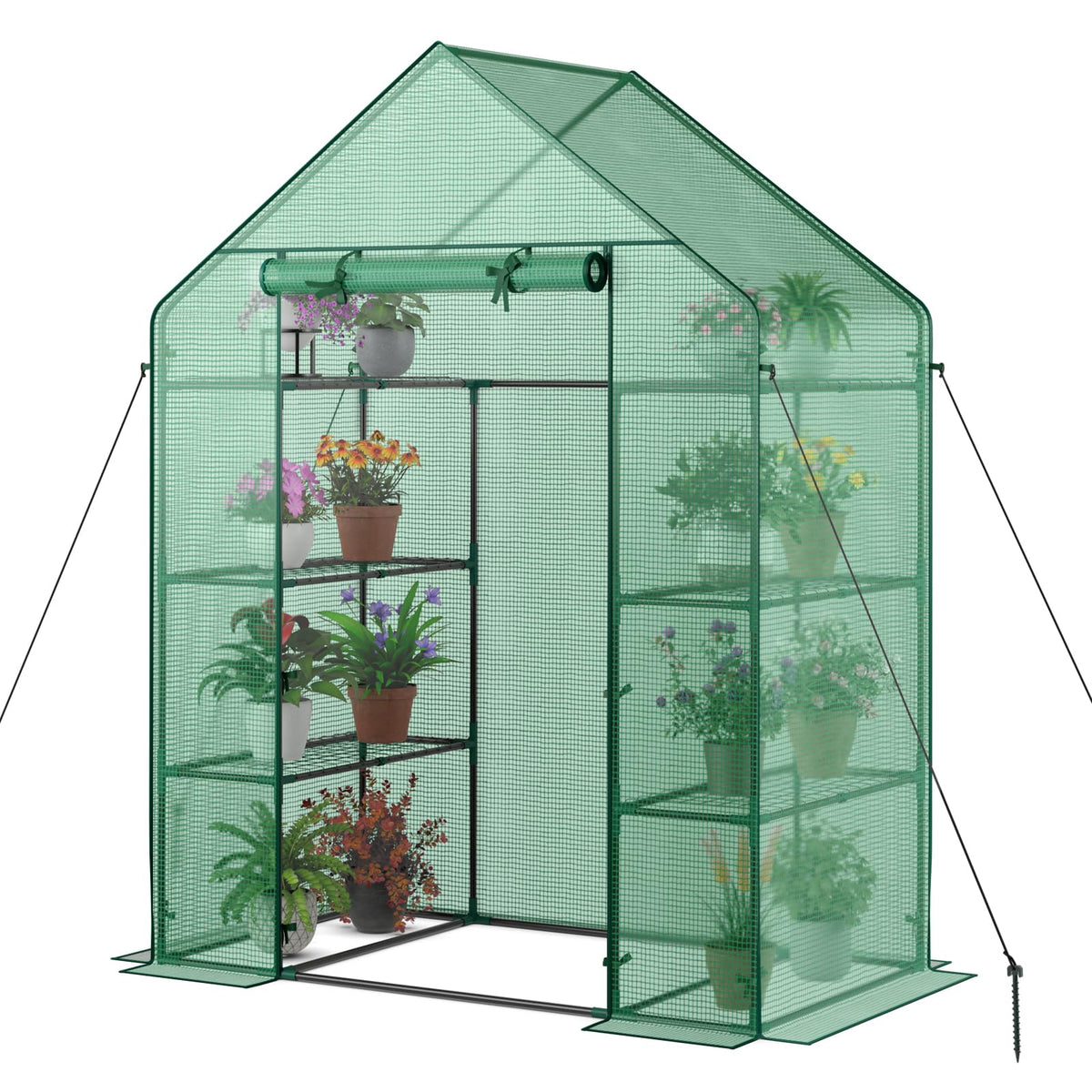 Greenhouse Outdoor Mini Walk-in Plant Green house for Plants