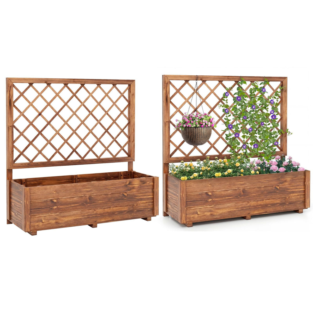 Lucktree Raised Garden Bed with Trellis (1/2)
