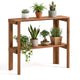 Lucktree 2-Tier Solid Wood Foldable Plant Shelf