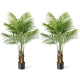 Lucktree 4.2FT Tall Artificial Palm Tree with 12 PEVA Leaves (2 Pack)