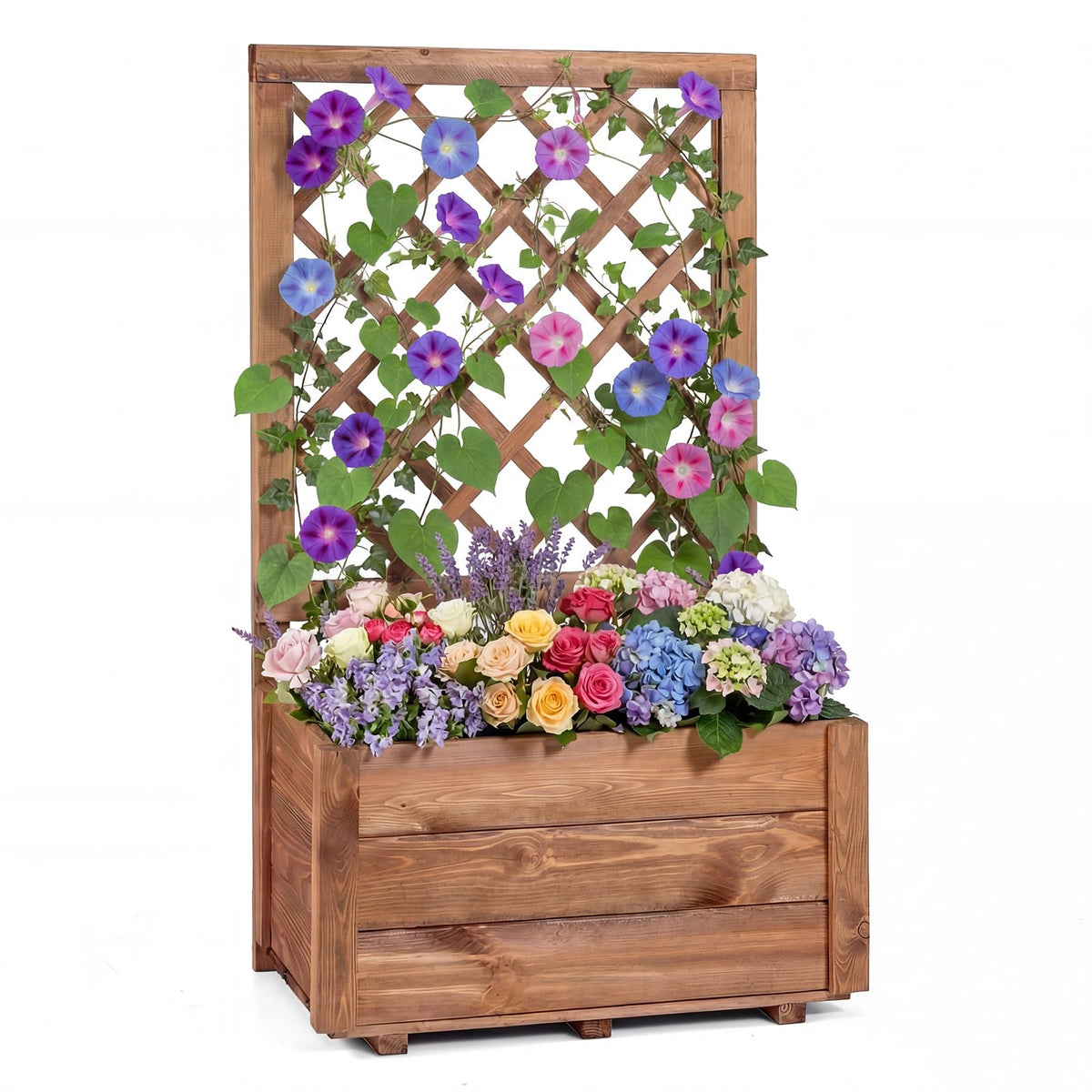 Lucktree Raised Garden Bed with Trellis (1/2)