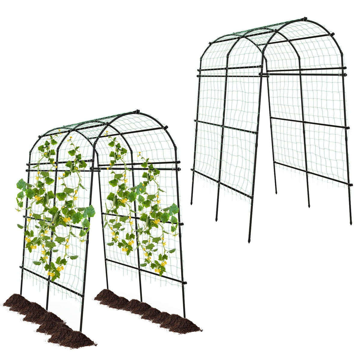 Lucktree Garden Arch Trellis for Climbing Plants