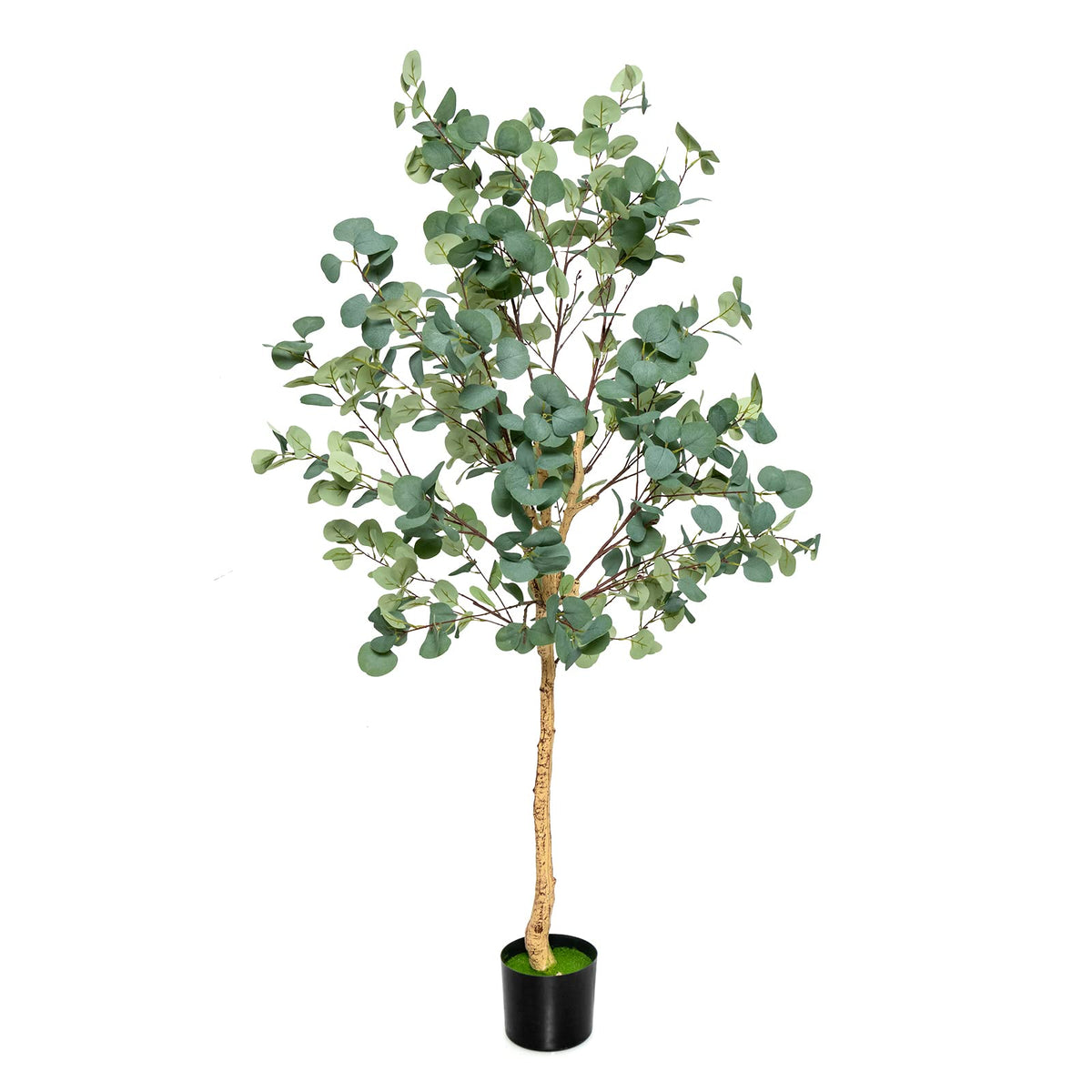 Lucktree 5.5ft Artificial Eucalyptus Tree, Tall Faux Eucalyptus Stems Fake Plants in Pot with 517 Silver Dollar Leaves