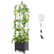 Lucktree Raised Garden Bed with Tomato Cages, Obelisk & Bird Top