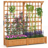 Lucktree Large Raised Garden Bed with Trellis and Roof