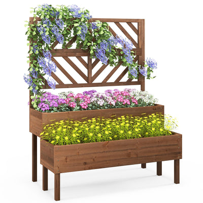 Lucktree Raised Garden Bed with Trellis