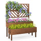 Lucktree Raised Garden Bed with Trellis