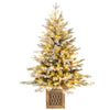 Lucktree 4 FT Pre-lit Entrance Christmas Tree with 231 Branch Tips and 100 LED Lights