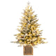 Lucktree 4 FT Pre-lit Entrance Christmas Tree with 231 Branch Tips and 100 LED Lights