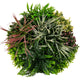Lucktree 2 Pack Hanging Artificial Plants Panels, 20" Round Framed 3D Greenery Wall Art Decor