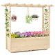Lucktree Raised Garden Bed with Sided Trellis and Hanging Roof