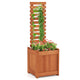 Lucktree Outdoor Wooden Raised Garden Bed with Trellis