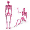Lucktree 5.5 FT Halloween Pink Skeleton Life-Size Poseable Skeleton with Movable Joints