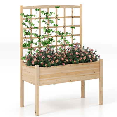 Lucktree Raised Garden Bed with Trellis