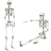 Lucktree 5.4 FT Halloween Life Size Skeleton