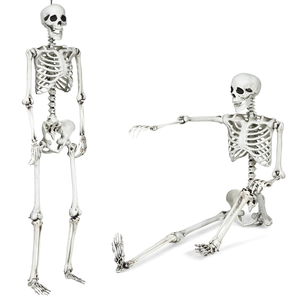 Lucktree 5.4 FT Halloween Life Size Skeleton