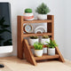 Lucktree Plant Stand for Desk 4-Tier Small Tabletop Ladder Shelf for Succulents