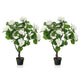 Lucktree Artificial Hydrangea Tree, 2 Pack Fake Floral Plant w/11 White Flowers & Realistic Trunk in Plastic Nursery Pot