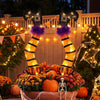 Set of 2 Halloween Lighted Witch Legs Decorations with Stakes
