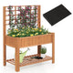 Lucktree Raised Garden Bed with Trellis