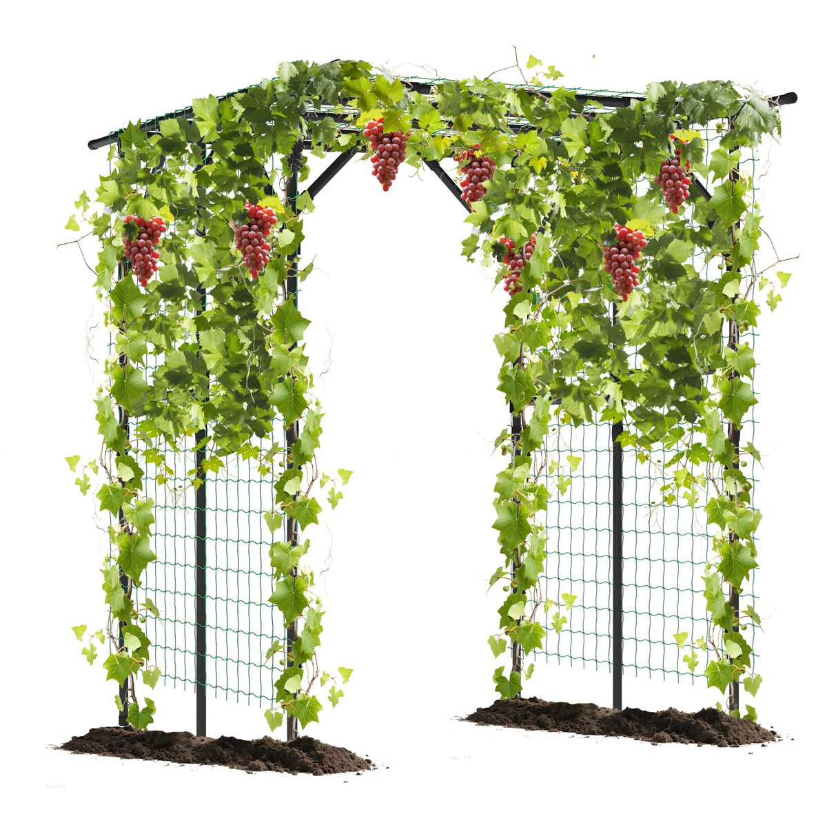 Lucktree Outdoor Grape Vine Trellis for Climbing Plants 79" x 59" x 78" Large Garden Arch