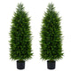 Lucktree 4 FT Artificial Faux Cedar Cypress Plants in Cement-Filled Pots Set of 2