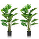 Lucktree Artificial Monstera Deliciosa Plant, 5ft Tall Fake Tropical Palm Tree w/15 Pcs Different Turtle Leaves - LucktreeUS