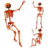 Lucktree 5.2 Ft Life-Size Posable Skeleton with Pumpkin Head Halloween Orange Skeleton Decoration