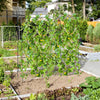 Lucktree Garden Arched Trellis for Climbing Plants, 71” x 71” U-Shaped Tall Cucumber Trellis for Raised Garden Bed