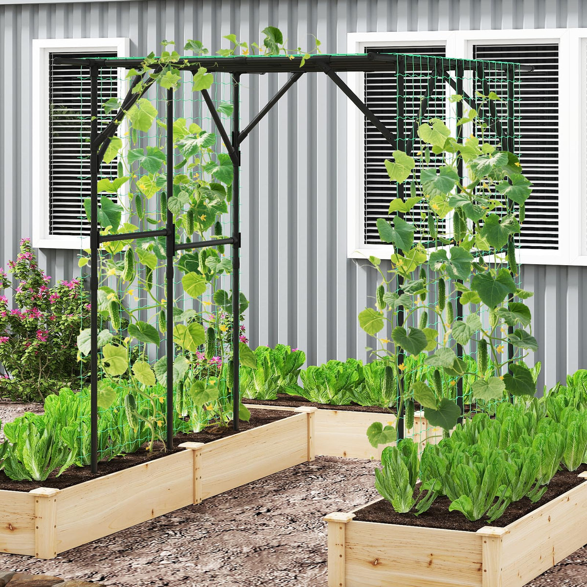 Lucktree Outdoor Grape Vine Trellis for Climbing Plants 79" x 59" x 78" Large Garden Arch