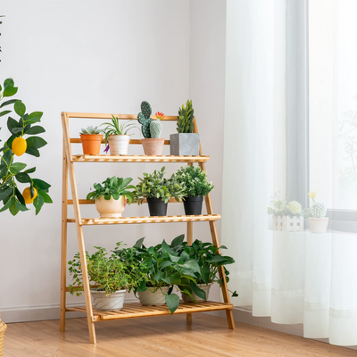 Lucktree 3 Tier Folding Storage Shelf, Bamboo Ladder Plant Stand